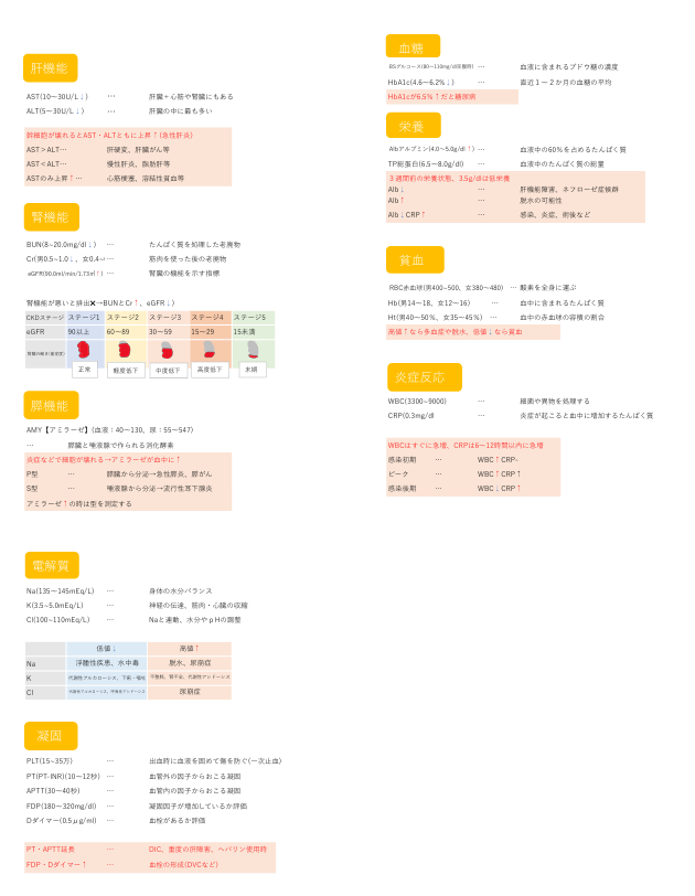 検査基準値一覧